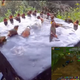 Illustration for article titled Hot Tub Twitch Is Popping Off Right Now